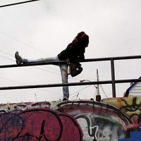 Oliveski Bohemian's Photo