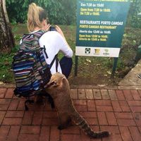 Colette Cmh的照片