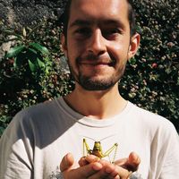 Le foto di Paden Vaughan