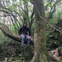 Levin Epping的照片