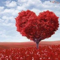 A. Elizabeth Madison Han的照片