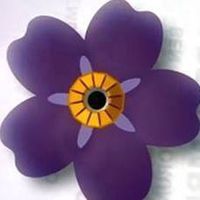 Photos de Arshak Navasardyan