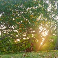 Paula Sotelo's Photo