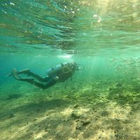 Фотографии пользователя Shaimaa Qandeel