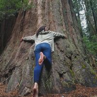 Fotos de Harley VanSant