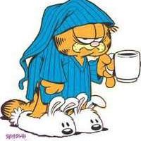 João Miguel Rodrigues's Photo