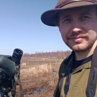 Photos de Antti Pöllänen