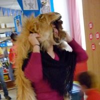 Photos de Eva Medina