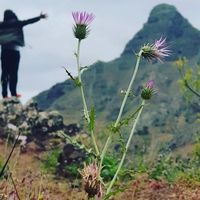 Sidahmed Ould Mhaimed的照片