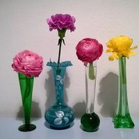 Anni Nikunlassi的照片