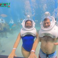 Pamela  Alfaro's Photo