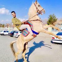 Le foto di AbdulGhaffar Lazim