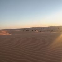 Fars Stefano's Photo