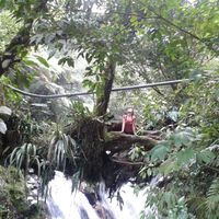 Zeljka Fistrek的照片