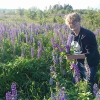 Photos de jonah perkin