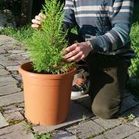 Le foto di Giacomo Lo Russo