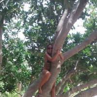 Dámaris Fernández's Photo