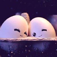 Nguyễn Tiến Sang's Photo