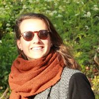 josse coertjens的照片