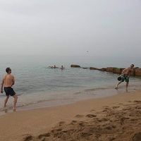 Doron Ben-Ari's Photo