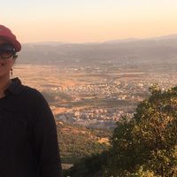 Shima Dastoum的照片