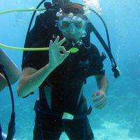 Bassem Abd El-ftaah的照片