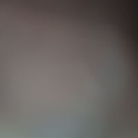 Aya Abdelhady's Photo