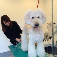 Miho Kashihara的照片