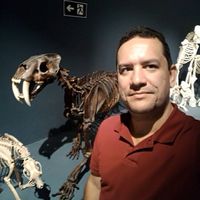 André Cunha的照片