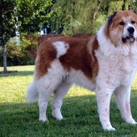 Rodger Kasule's Photo