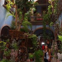 Pao Fernandez的照片