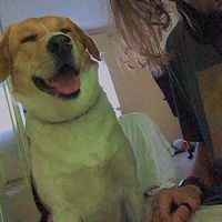 Ginés Solano's Photo