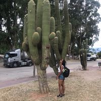 Denise Miranda的照片