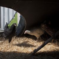 Martin Hurych的照片