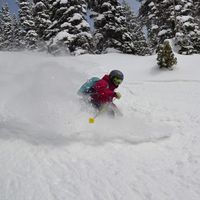 Connie Henderson的照片