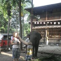 Majda Koritnik's Photo