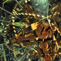 Cristiana Santos's Photo