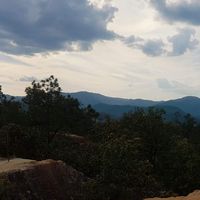 Brent McLean's Photo