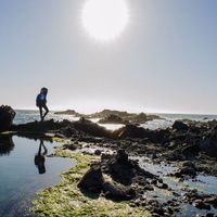 Pía  Barrios Orellana的照片