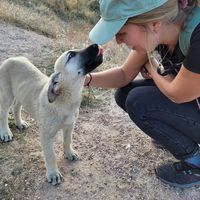 frederike Wrage's Photo