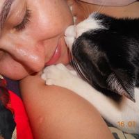 Thais Araujo的照片