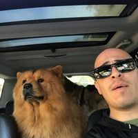 Brownie Gavilán de Logroño的照片