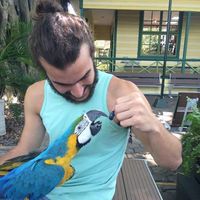 Fotos de Vinícius Otati