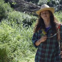 Alessandro Gazzini的照片