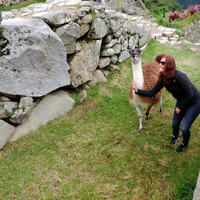 Sarah  Parish的照片