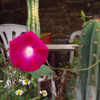 Paola Arenas's Photo