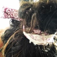 Fotos von John Costaki