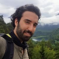 Photos de Shimon Alankri