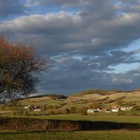 Isabelle Colibri的照片