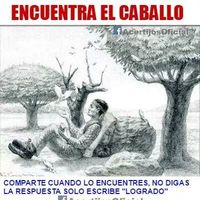 Riccardo Sabbato的照片